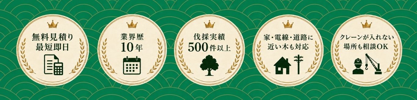 無料見積り最短即日 業界歴10年 伐採実績500件以上 家・電線・道路に近い木も対応 クレーンが入れない場所も相談OK